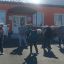 Здоровье в движении: как прошёл спортивный праздник  для старшего поколения 4