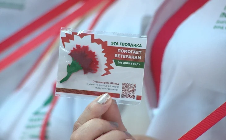 Патриотическая акция &laquo;Красная гвоздика&raquo;: мы помним, мы чтим, мы гордимся.