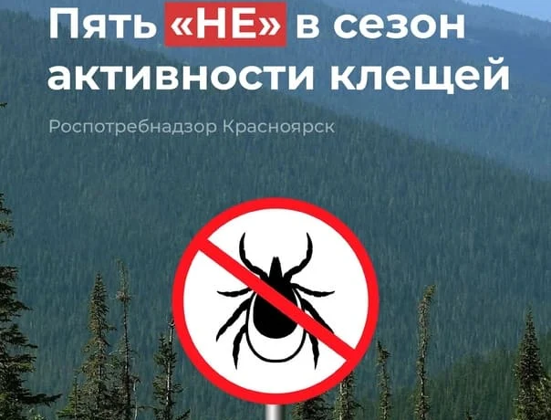 Осторожно: клещи выходят на охоту!