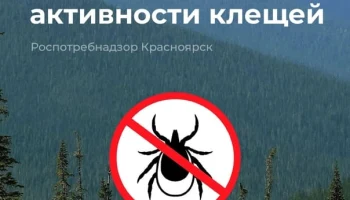 Осторожно: клещи выходят на охоту!