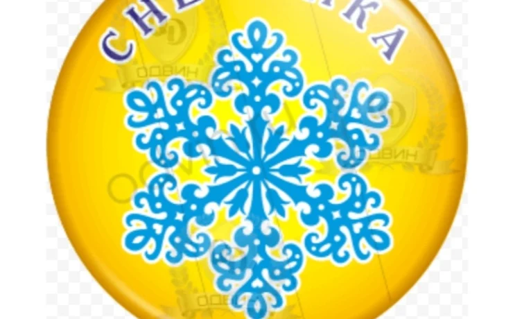 Мастер-класс «Снежинка» Мастер-класс «Снежинка»