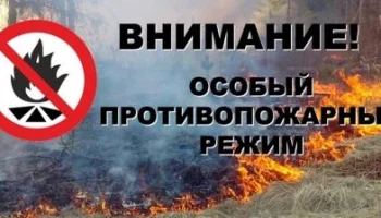 Весенне-летний пожароопасный период