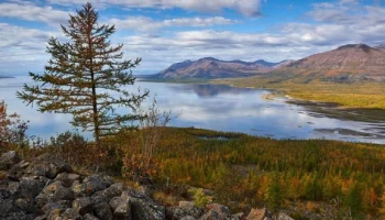 Современный  Красноярский  край